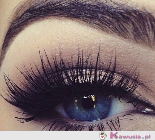 Perfect