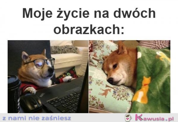 Całe moje życie na 2 obrazkach