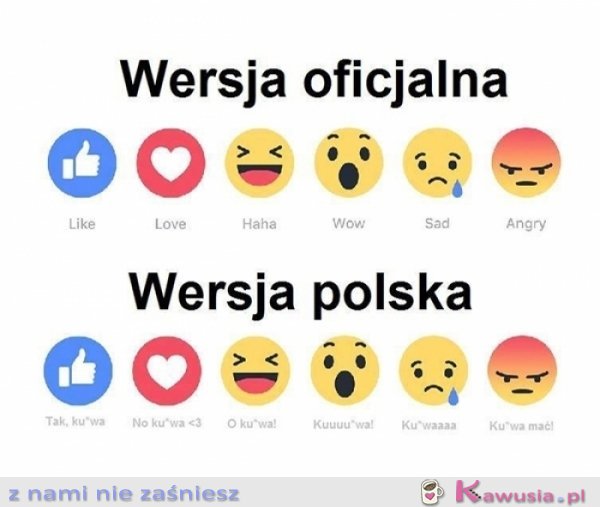 Polacy swój język mają...