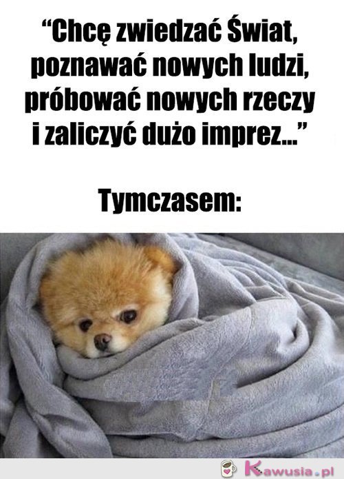 No może nie dziś...