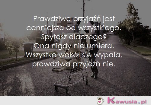 Prawdziwa przyjaźń