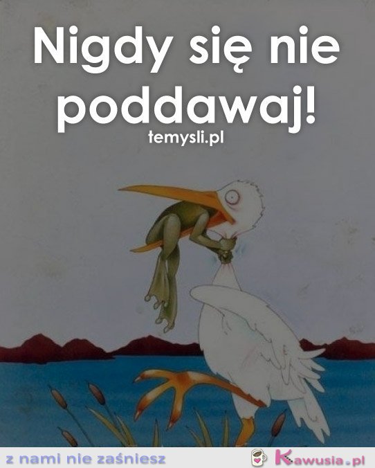 Nigdy się nie poddawaj