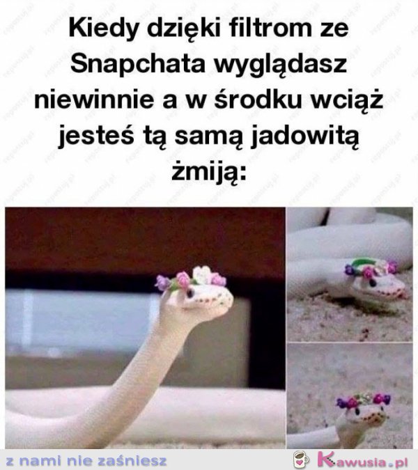 Filtry ze snapczata