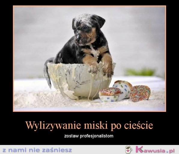 Wylizywanie miski...