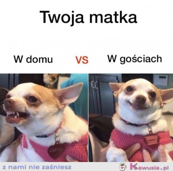 Twoja matka