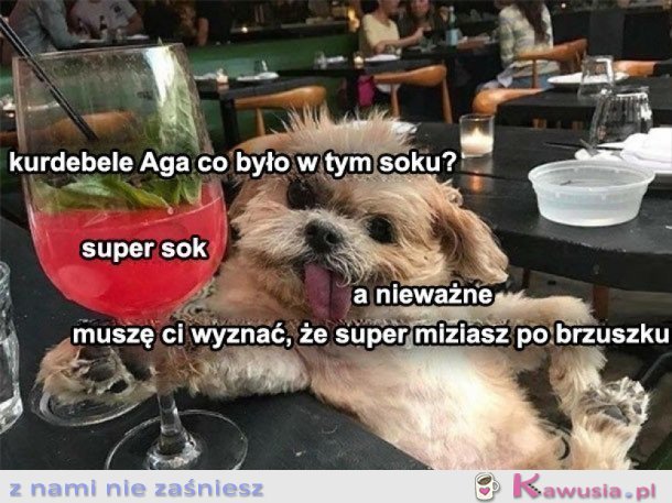 DZIWNY SOK JAKIŚ