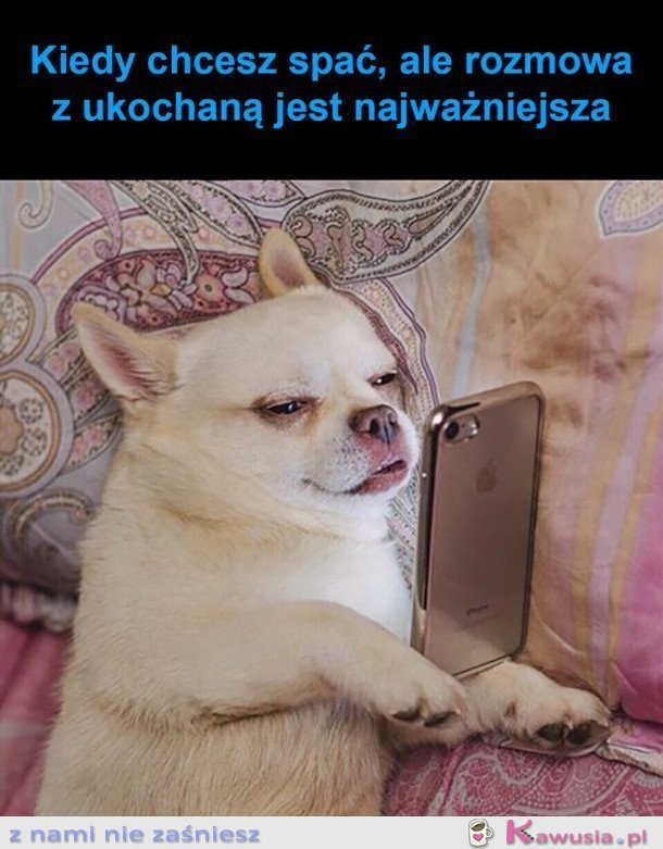 NIE MA ŻE BOLI