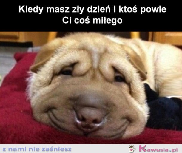 NA POPRAWIENIE HUMORU