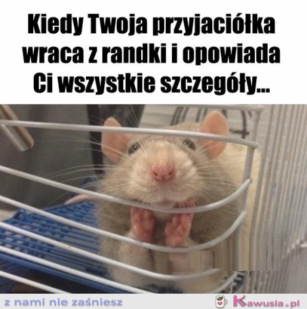 Mów mi szybko...