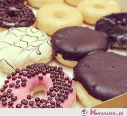 Donuts 