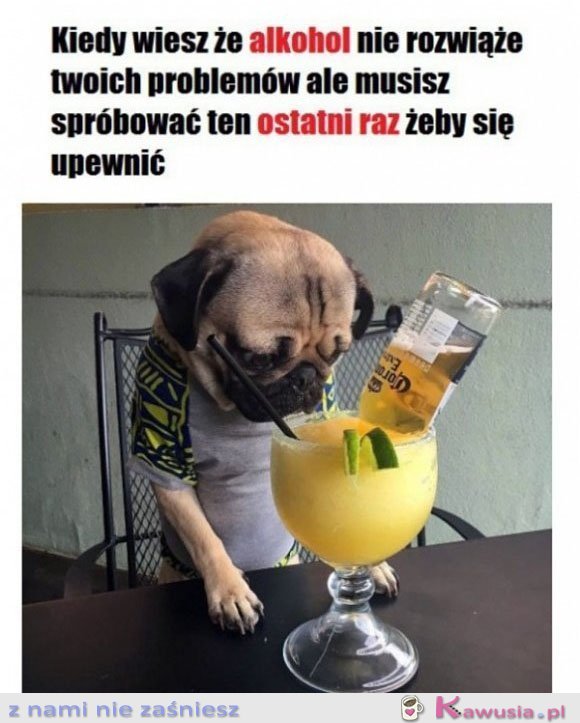 Muszę sprawdzić ten ostatni raz