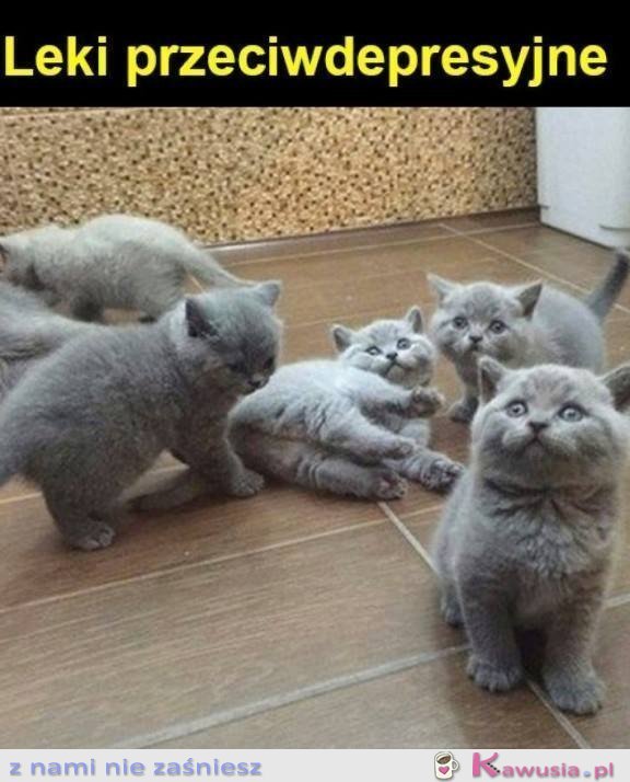 Lekarz przepisał mi nowe leki