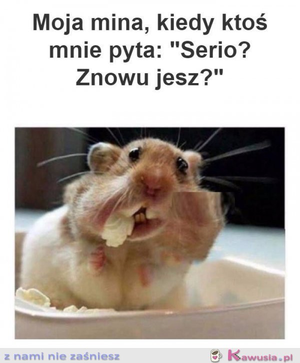 A Ty, znowu jesz