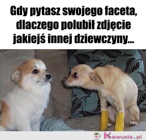 No pytam się...