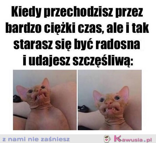 Wszystko ok...