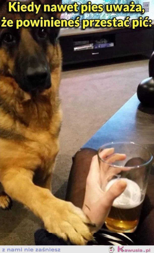 KIEDY NAWET PIES