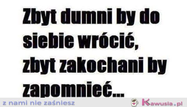 Zbyt dumni by...