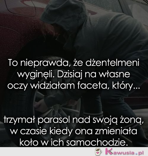 To nieprawda, że dżentelmeni wyginęli...