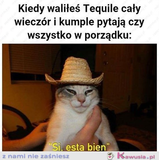 Kiedy piłeś cały wieczór Teqile