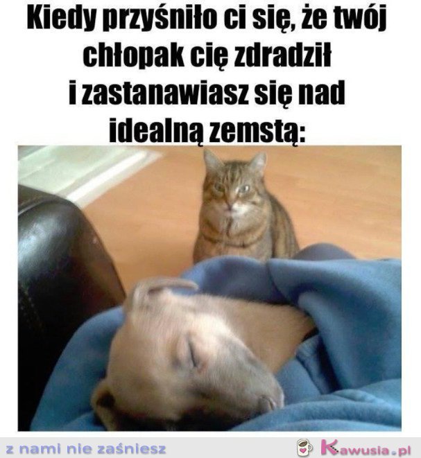 Niech się tylko obudzi