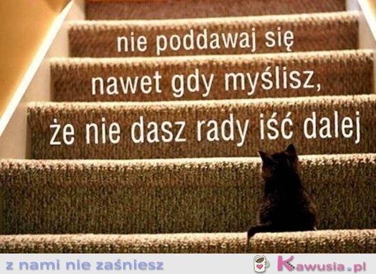 Nie poddawaj się!