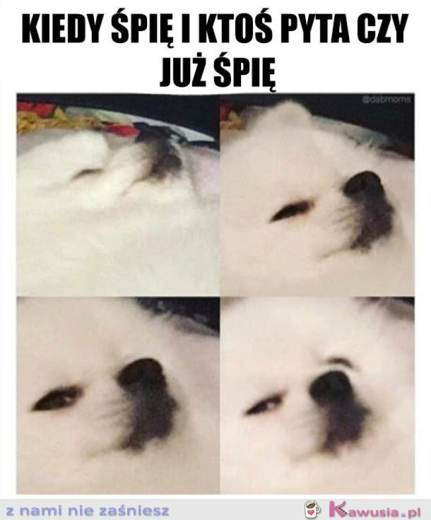 Spałam..
