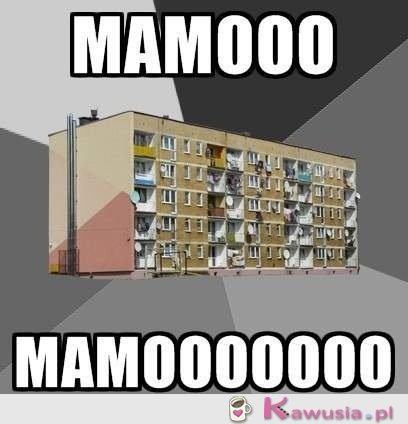 Mammmoooo