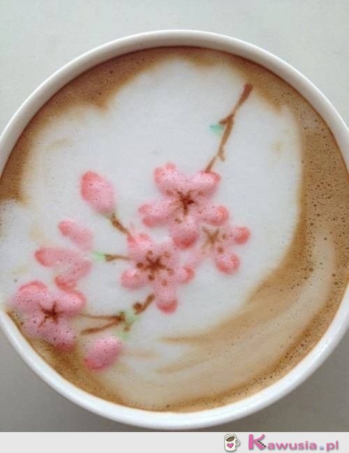 Kwiat wiśni na kawie