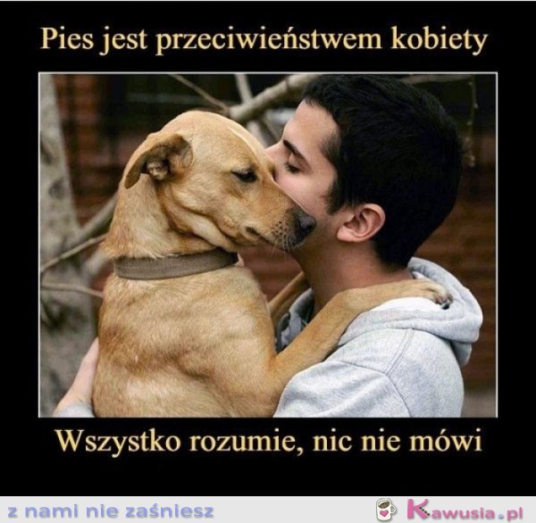 Pies jest przeciwieństwem kobiety