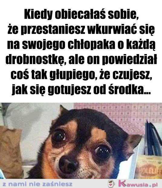 No i jak tu się nie odezwać...