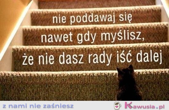 Nie poddawaj się!