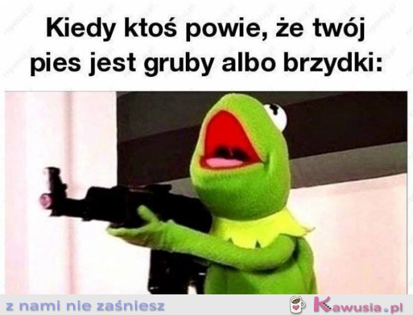 Kiedy ktoś obrazi mojego psa