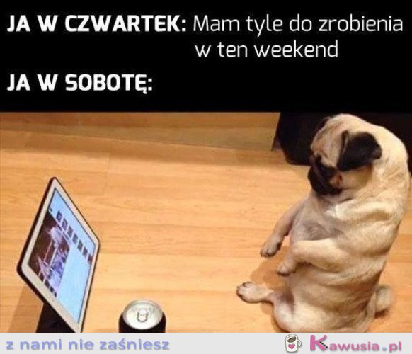 NAJBLIŻSZY WEEKEND