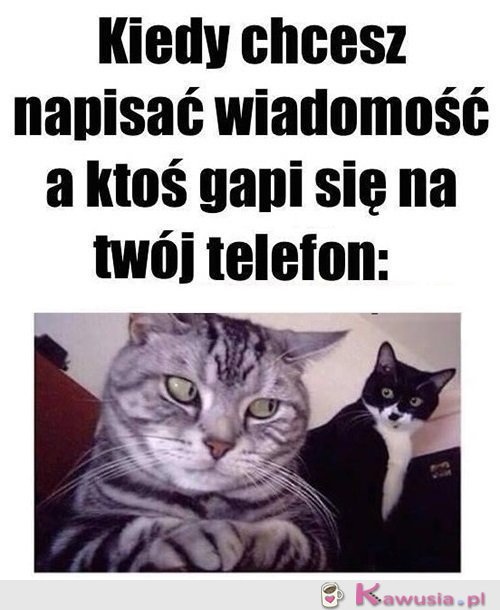 Czego się gapisz?