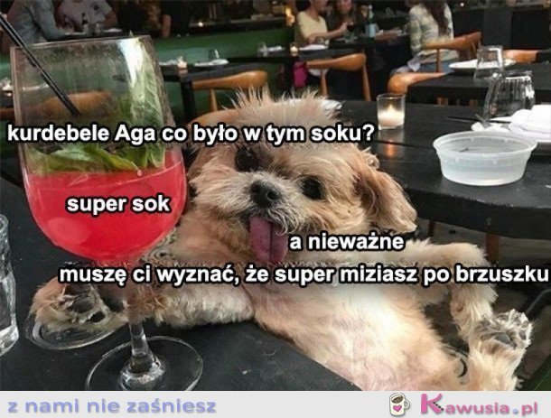 DZIWNY SOK JAKIŚ