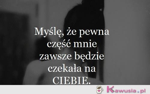 Pewna część mnie