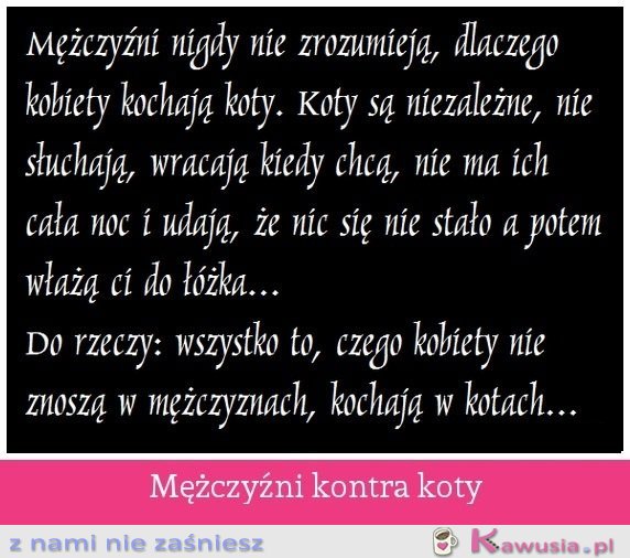 Mężczyźni kontra koty