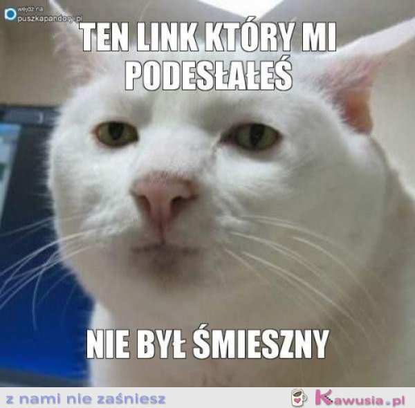 Ten link, który mi podesłałeś...