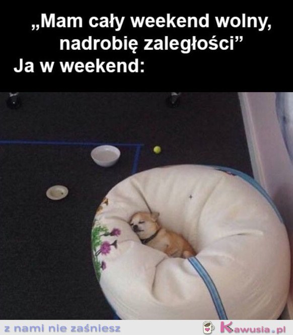 ZA KAŻDYM RAZEM...