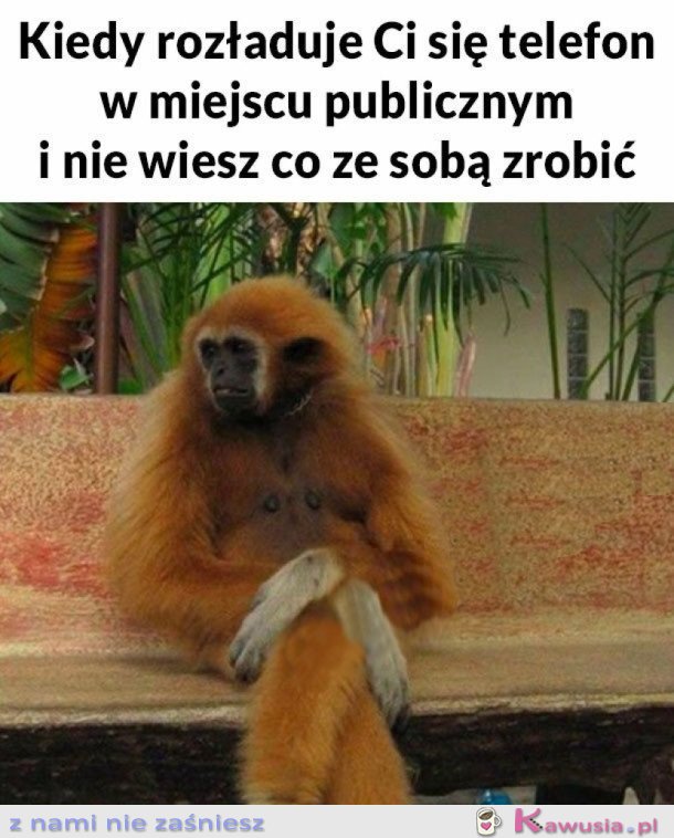 TO UCZUCIE