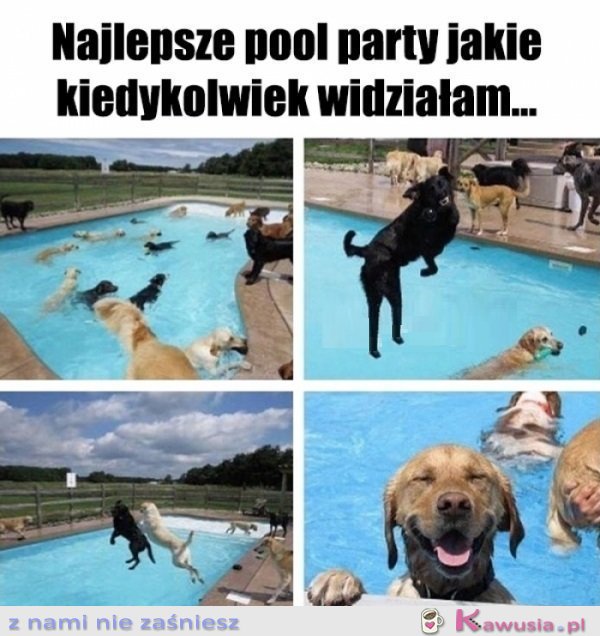A moje zaproszenie zaginęło?!