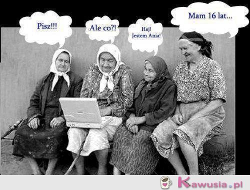Ale krejzolki
