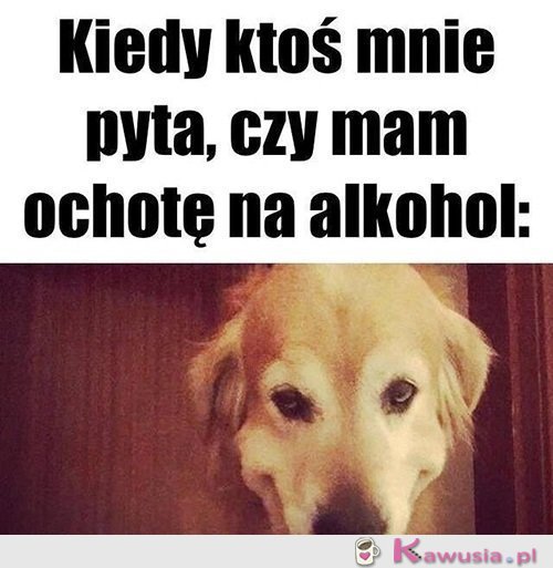 Nie m&oacute;wię nie...