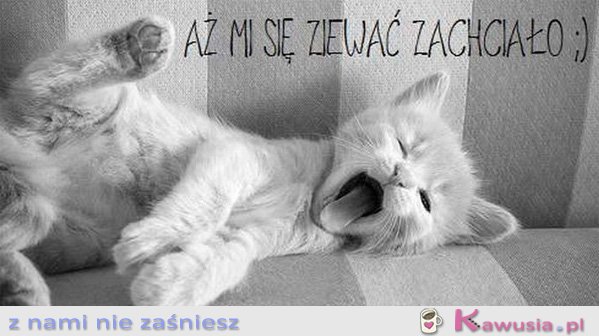 Aż mi się ziewać zachciało