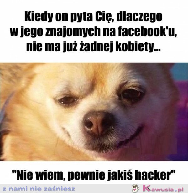 Dziwne rzeczy...
