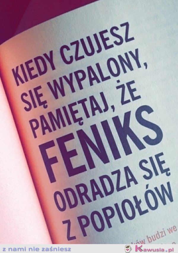 Motto na dziś