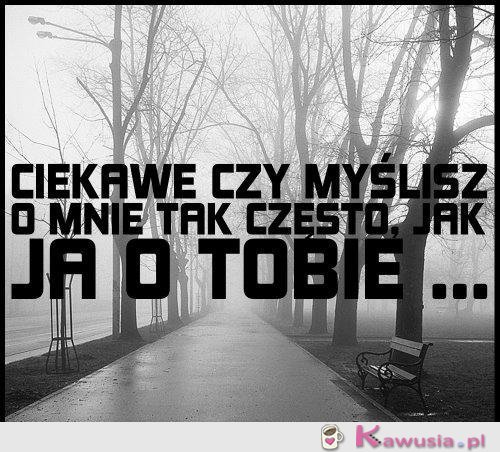 Ciekawe czy