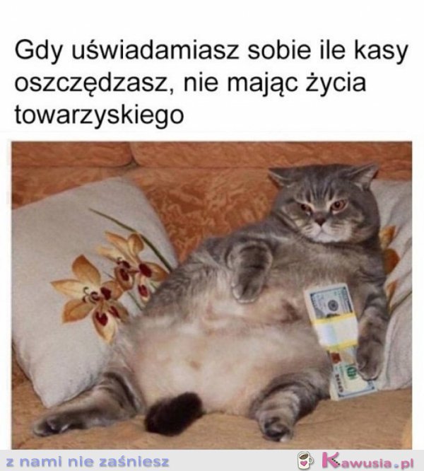 Już nigdy nie wyjdę