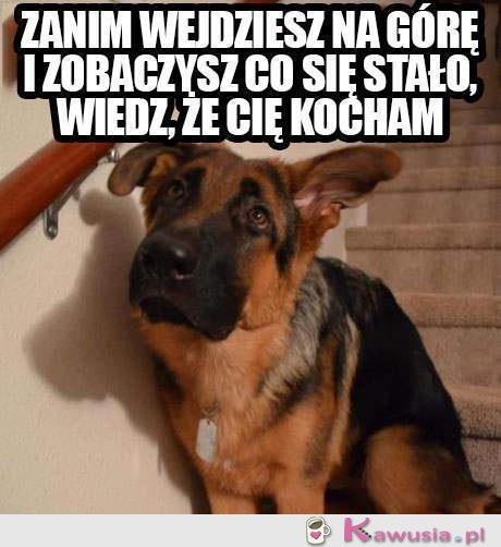 Zanim wejdziesz na górę