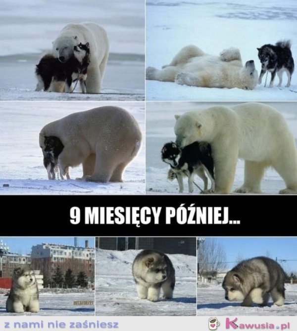 9 miesięcy później..